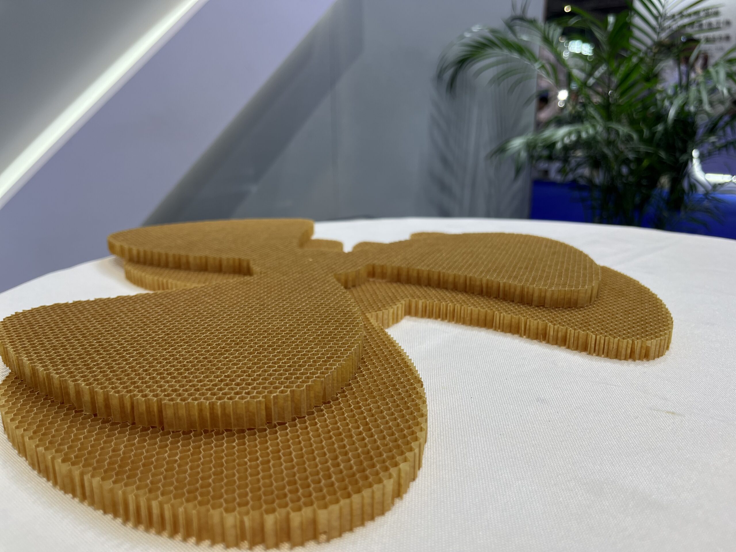 AG真人官方(中国)官方网站IOS/安卓通用版/手机app下载